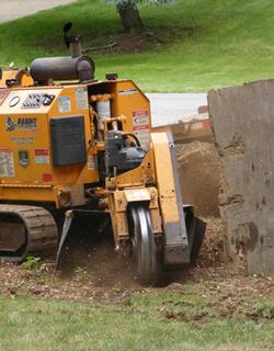 Stump Grinding