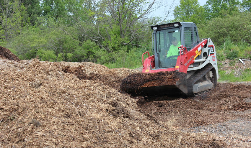 mulch wood chips