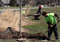 tree-planting