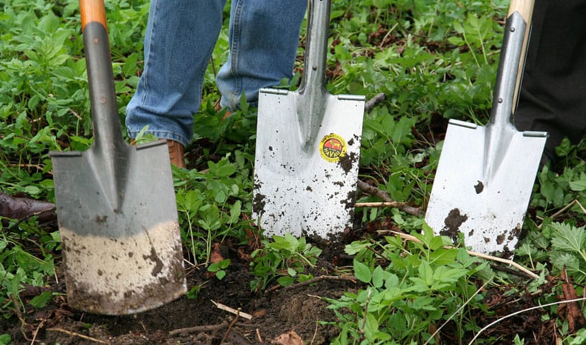 fall planting tips