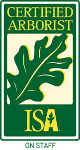 ISA Certified Arborist on Staff