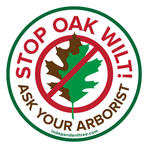 Stop Oak Wilt in NE Ohio - logo