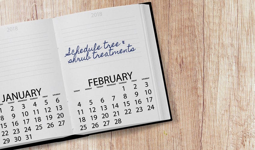 schedule plant health care in february