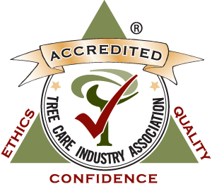 TCIA Accrediation logo transparent