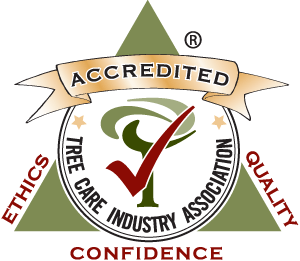 TCIA Accrediation logo transparent