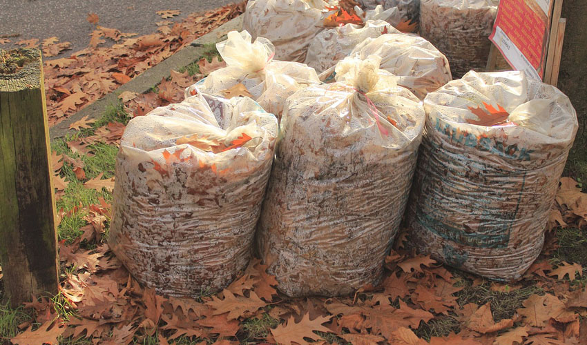 Are your paper leaf bags rotting before the city picks them up