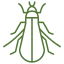 tree-cricket
