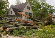 services-storm-damage