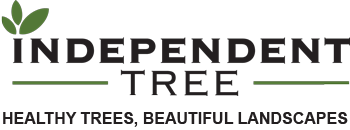 Logo_FINAL-color-tagline