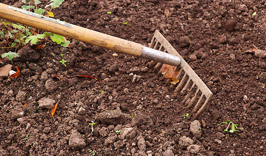 healthy organic soil being raked