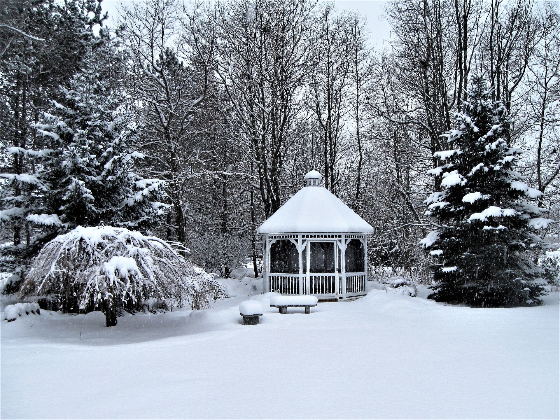 Deciduous and evergreen trees surround a gazebo, all covered in a dusting of snow.