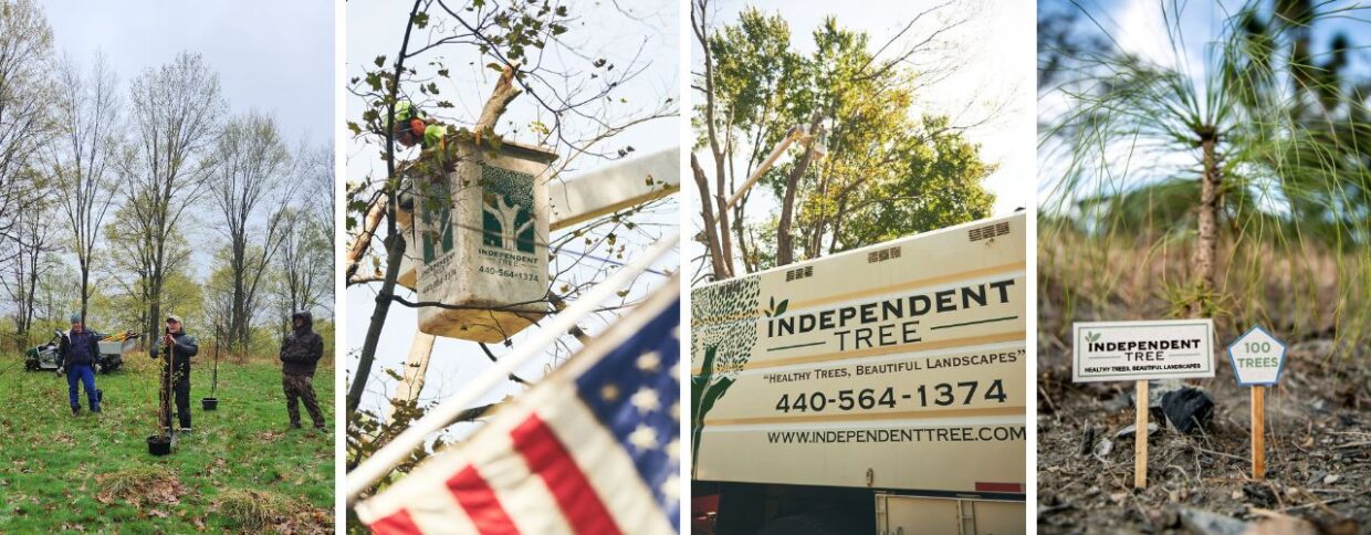 Our Commitment to Northeast Ohio | Independent Tree, Northeast Ohio ...