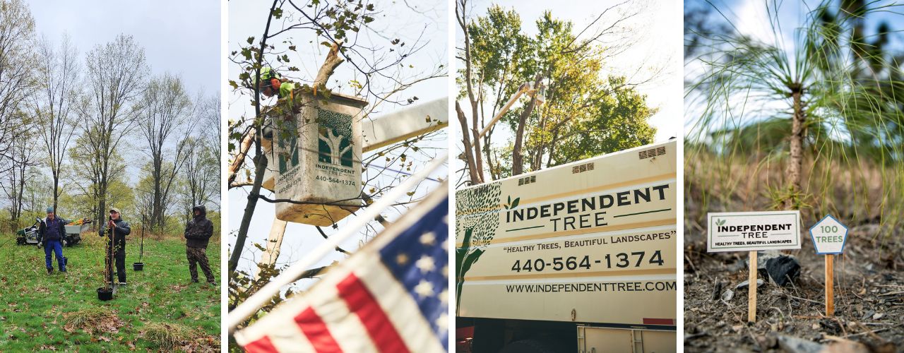 Independent Tree participating in local events in Northeast Ohio and the surrounding areas.