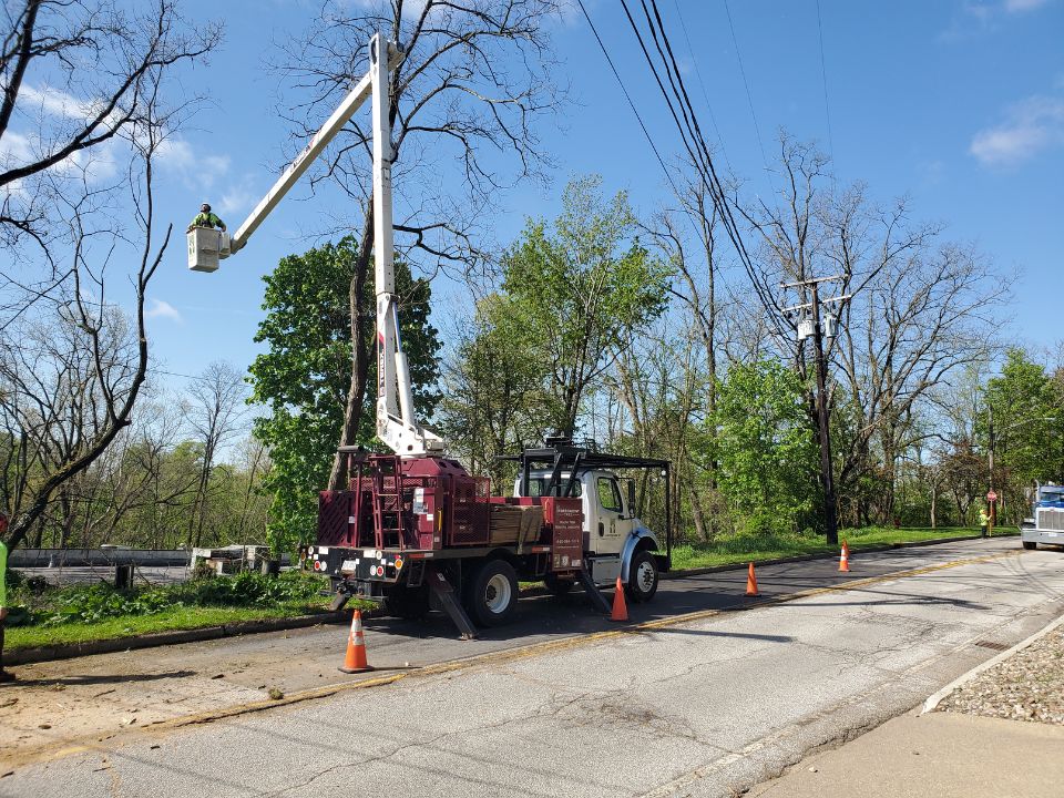 An Independent Tree crane at the side of the road during tree work.