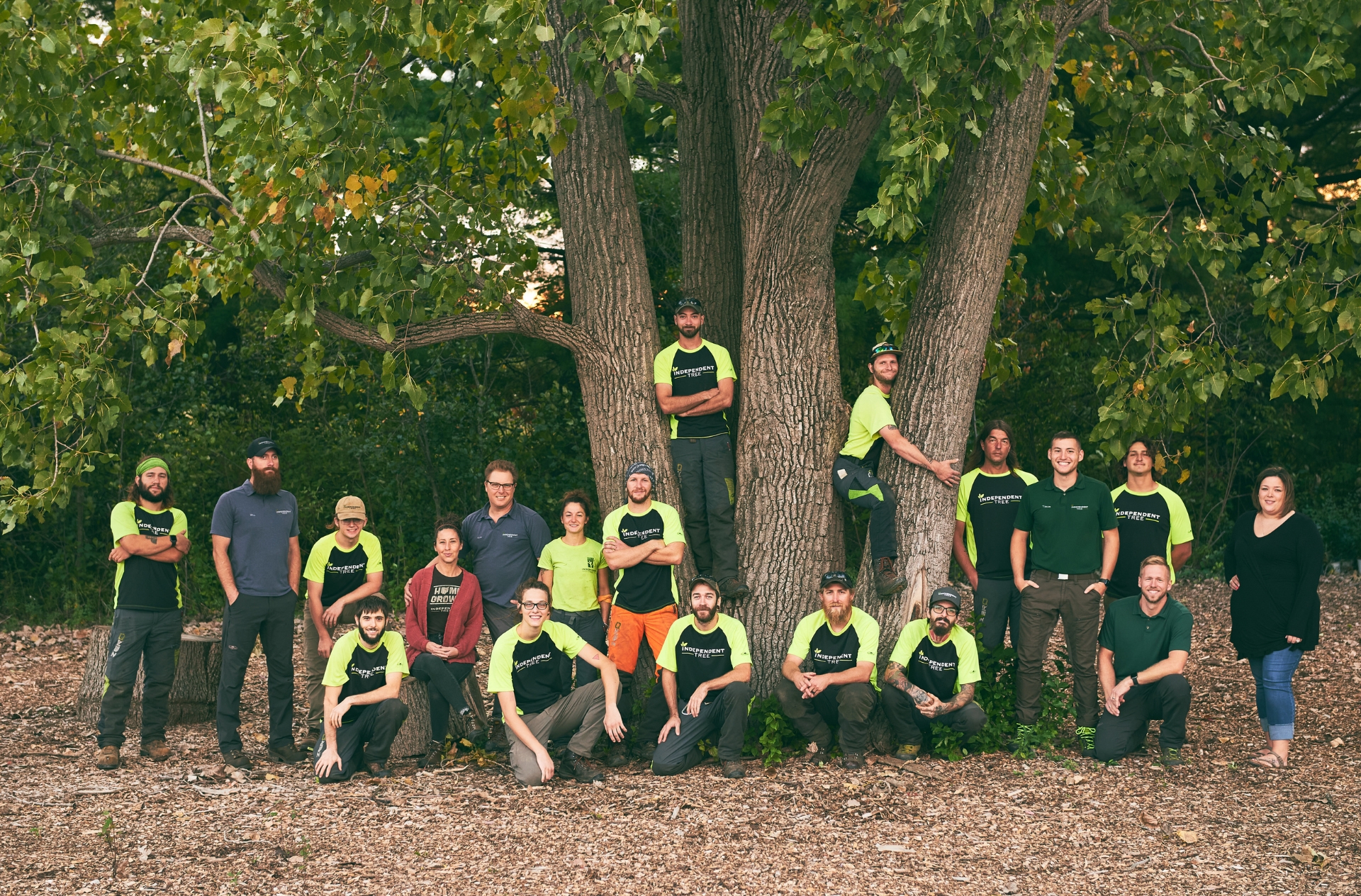 IT-Website-About-Team-Fall-New