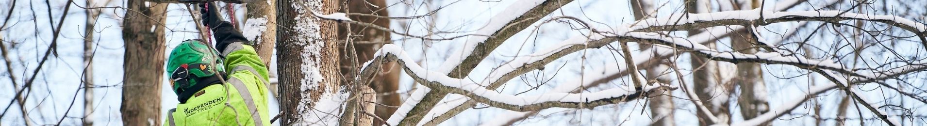 IT Website - Home Page Services (Seasonal) - 1910x260px