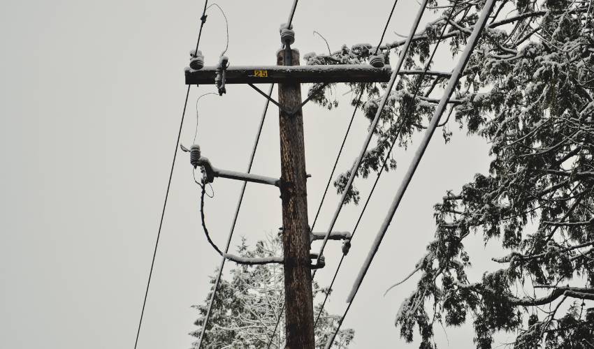 Snow-covered tree branches encroach on power lines on a gray, cloudy day.