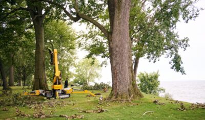 Professional tree service equipment cleaning up extensive storm debris and fallen branches in residential yard after severe weather damage.