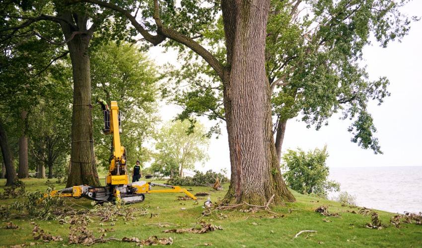 Professional tree service equipment cleaning up extensive storm debris and fallen branches in residential yard after severe weather damage.