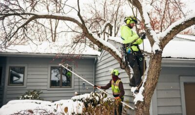 Independent Tree Certified Arborists pruning a dormant tree with a pole saw in a snowy Northeast Ohio residential setting.