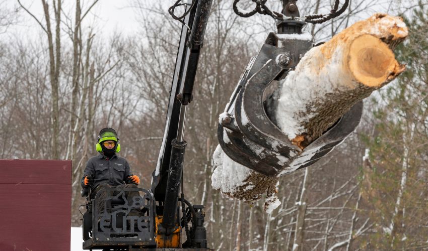 The Independent Tree ground crew moves a large log during a winter tree removal in Ohio.