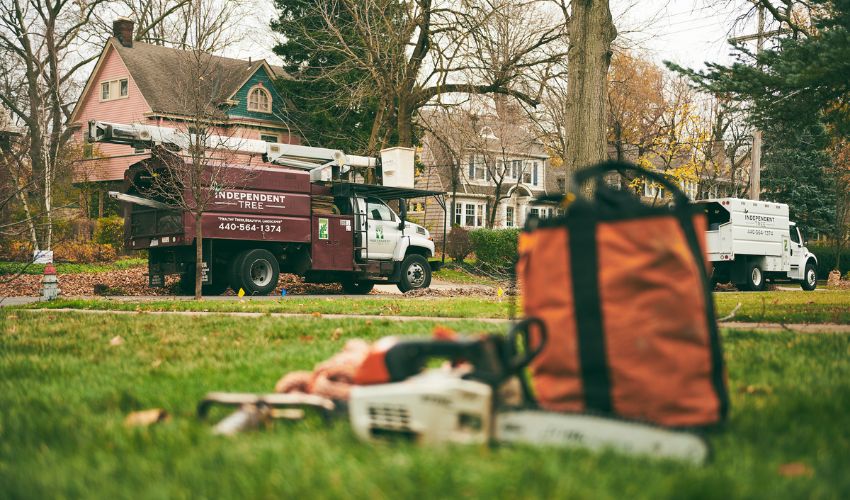 A chainsaw and work bag in the foreground with Independent Tree's bucket truck and other vehicles in the background on a residential Ohio street.