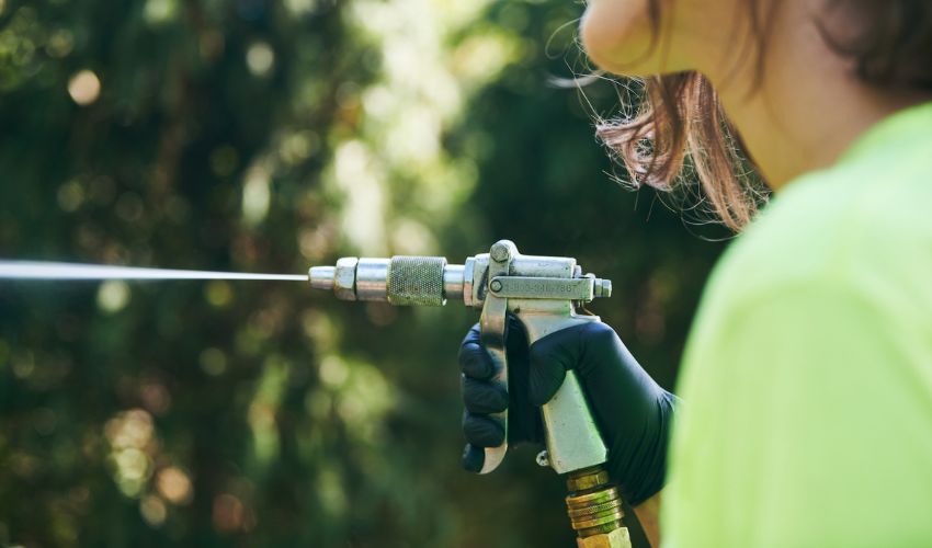 An Independent Tree plant health care employee sprays trees and shrubs with a preventative treatment.