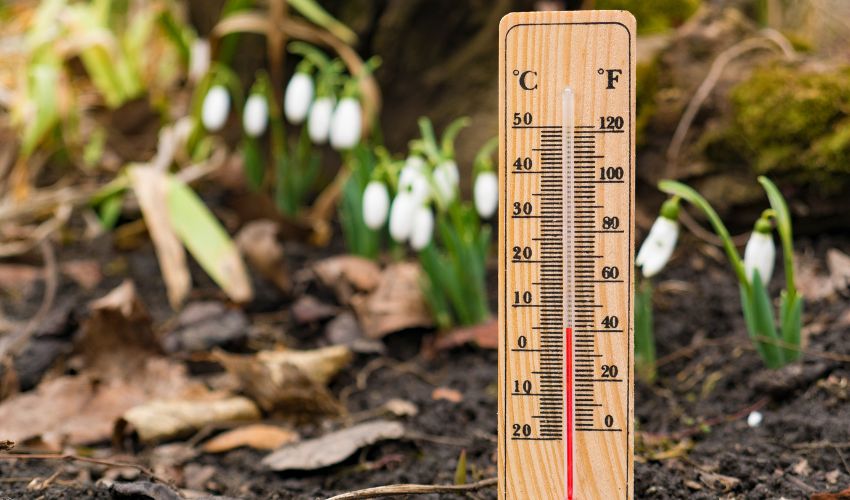 An outdoor thermometer in the ground near some spring blooms on an Ohio property.