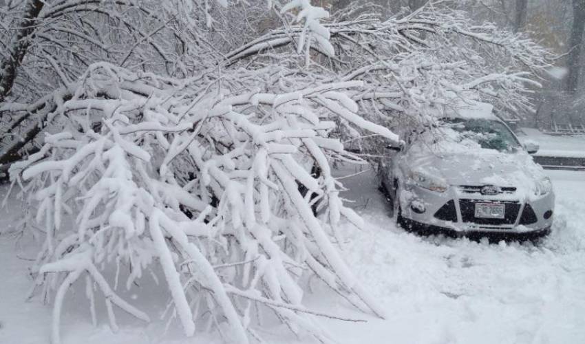 A snow-covered branch lays on a silver car after a snowstorm. 