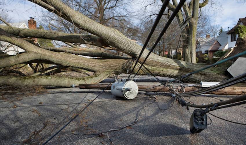 A fallen tree lies over power lines it has taken down on a suburban street. 