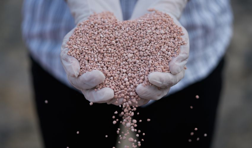 Slow-release fertilizer is typically made of granules or pellets.