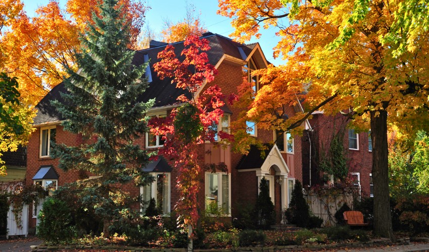 A stunning home landscape with a variety of tree colors in the fall, in Cuyahoga County, OH.