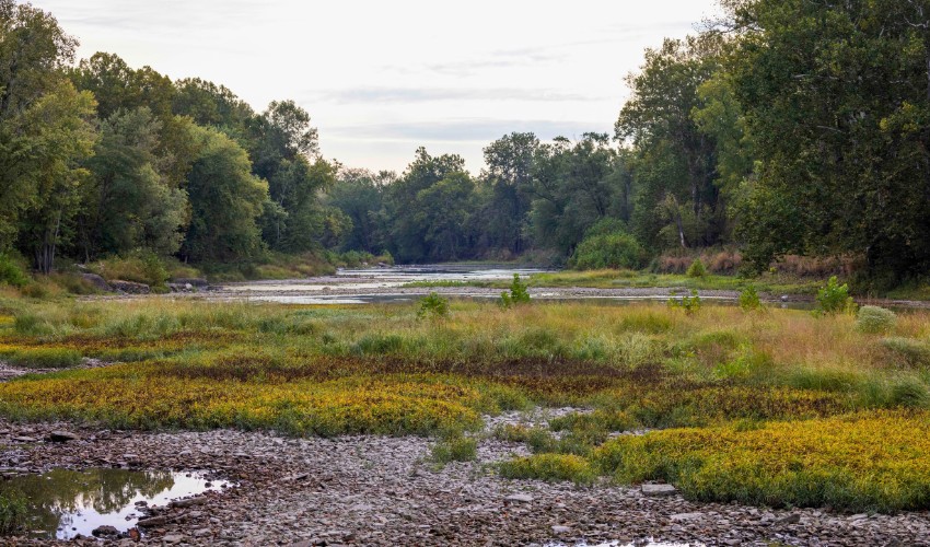 A river that dried up during the 2024 Ohio drought near Hudson, OH.