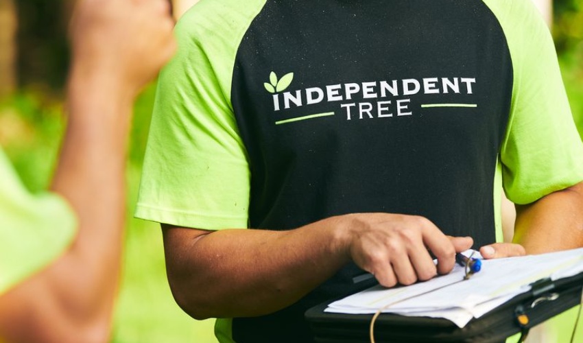 Independent Tree crew member in bright green shirt holding clipboard and pen while conducting an on-site tree assessment with homeowner.