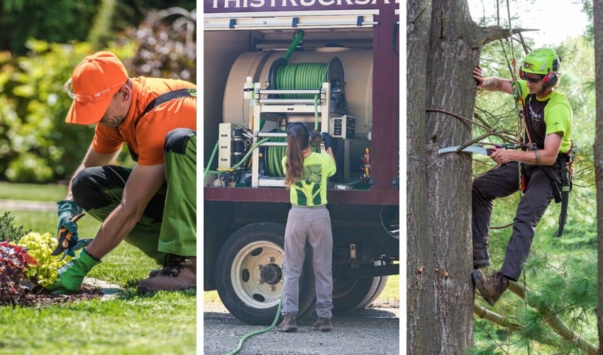 A three-panel image showing a landscaper tending a planting bed, a plant health care technician preparing spray equipment at a truck, and a certified arborist climbing a tree with a clipboard.