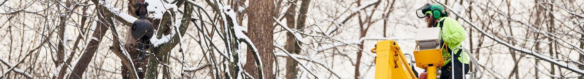 IT-website-home-phc-winter