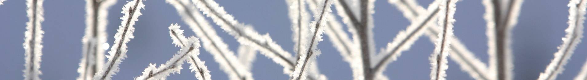 IT-website-home-services-winter