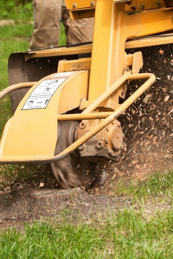 IT-website-section-stump-grinding