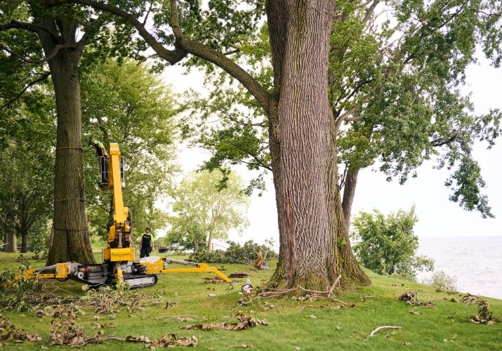 Professional tree service equipment cleaning up extensive storm debris and fallen branches in residential yard after severe weather damage.