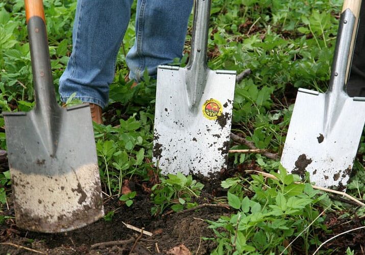 fall planting tips