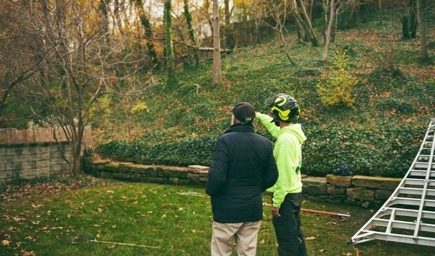 Certified Arborist discussing a tree assessment with a homeowner in a fall landscape.