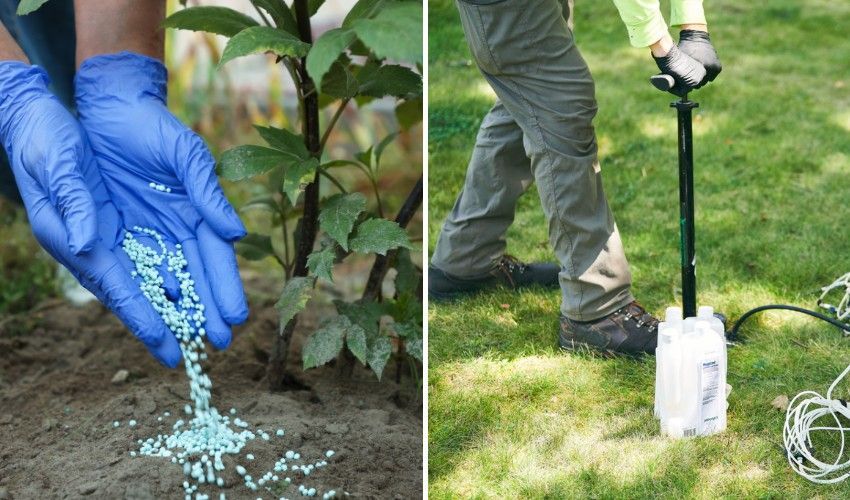 Professional high-pressure fertilizer injection equipment used by certified arborists, showing the specialized apparatus that delivers nutrients deep into the soil.